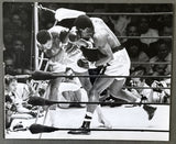 ALI, MUHAMMAD-ERNIE TERRELL TYPE 1 ACTION PHOTO (1967)