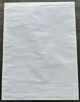 DAVIS, GERVONTA-RICARDO NUNEZ SHOWTIME BOXING POSTER (2019)