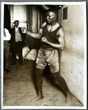 FLOWERS, TIGER ORIGINAL TYPE 1 PHOTO (TRAINING)