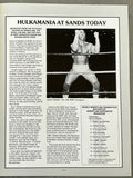 HOGAN, HULK-MR. FUJI SOUVENIR PROGRAM (1985)
