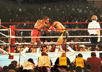 HOLYFIELD, EVANDER-ALEX STEWART TYPE 1 PHOTOGRAPH (1993)