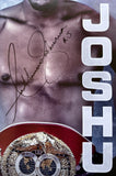 JOSHUA, ANTHONY-WLADIMIR KLITSCHKO SIGNED ON SITE POSTER (2017-SIGNED BY JOSHUA)