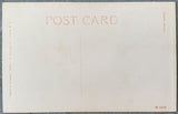 LEWIS, WILLIE HEALTH & STRENGTH PHOTO POSTCARD (1908)