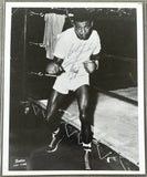 ROBINSON, SUGAR RAY SIGNED PHOTO (PSA/DNA)