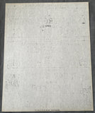 IRON SHEIK-SWEET EBONY DIAMOND & THE MASKED SUPER STAR-PAUL JONES ON SITE POSTER (1980)