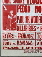 STEAMBOAT, RICKY-JAKE "THE SNAKE" ROBERTS ON SITE POSTER (1986)