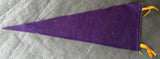 STEINBORN, DICK VINTAGE SOUVENIR PENNANT