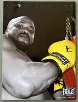 TAPIA, JOHNNY-MANUEL MEDINA & JERMAIN TAYLOR-JOE GARCIA & JAMEEL MCCLINE-SHANNON BRIGGS OFFICIAL PROGRAM (2002)