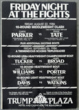 TYSON, MIKE-JOSE RIBALTA SCARCE OFFICIAL PROGRAM & BOUT SHEET (1986)