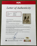 WILLARD, JESS SIGNED PHOTO (PSA/DNA)