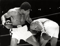 ALI, MUHAMMAD-ERNIE TERRELL WIRE PHOTO (1967)