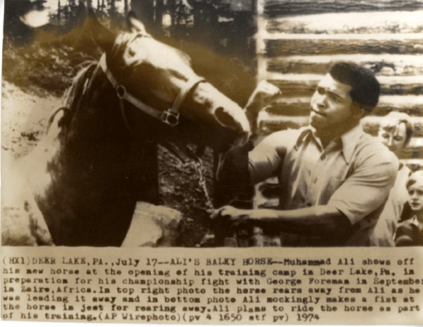 ALI, MUHAMMAD WIRE PHOTO (1974-TRAINING FOR FOREMAN)