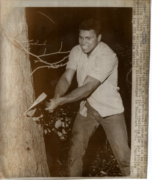 ALI, MUHAMMAD WIRE PHOTO (1966-TRAINING FOR MILDENBERGER)