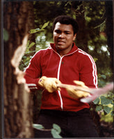 ALI, MUHAMMAD ORIGINAL TRAINING CAMP PHOTO