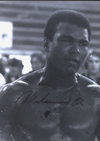 ALI, MUHAMMAD VINTAGE SIGNED PHOTO (JSA LOA)