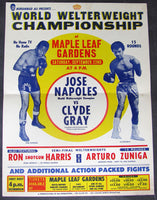 NAPOLES, JOSE-CLYDE GRAY ON SITE POSTER (1973)