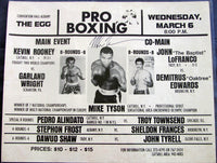 TYSON, MIKE-HECTOR MERCEDES SIGNED ON SITE POSTER ( TYSON PRO DEBUT)