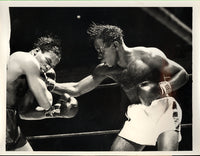 TURNER, GIL-ISSAC LOGART WIRE PHOTO (1955)