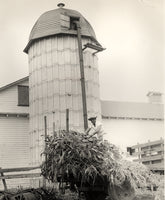 CANZONERI, TONY WIRE PHOTO (DOING FARM WORK)