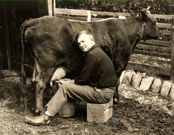 PAKE, BILLY WIRE PHOTO (1925-MILKING A COW)