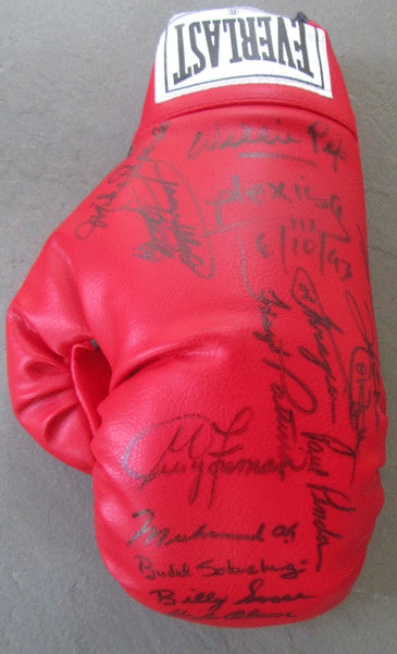 BOXING HALL OF FAME SIGNED GLOVE (15 SIGNATURES)