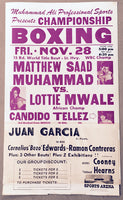 MUHAMMAD, MATTHEW SAAD-LOTTIE MWALE ON SITE POSTER (1980)