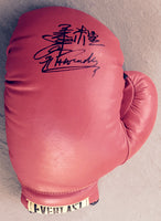 HARADA, FIGHTING SIGNED GLOVE