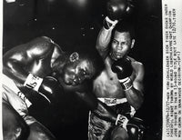 TIGER, DICK-JOSE TORRES I WIRE PHOTO (1966)