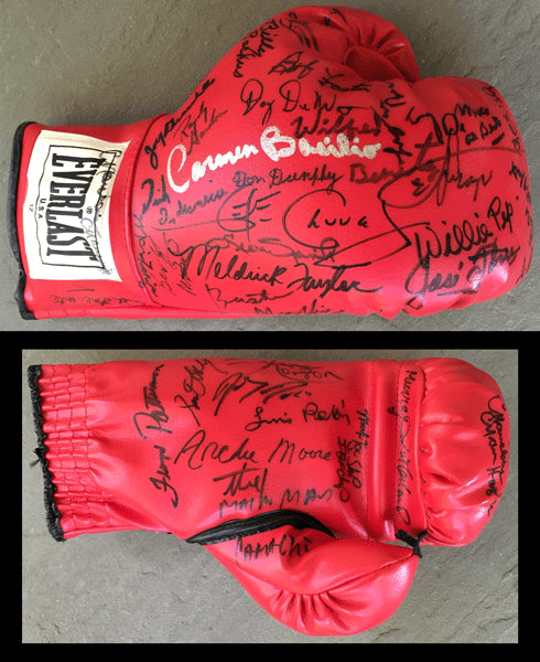 MULTI SIGNED BOXING HALL OF FAME BOXING GLOVE (NEARLY 40 SIGNATURES)