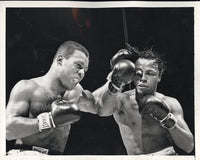 BRATTON, JOHNNY-RALPH "TIGER" JONES WIRE PHOTO (1952)