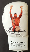 JOSHUA, ANTHONY SIGNED GLOVE