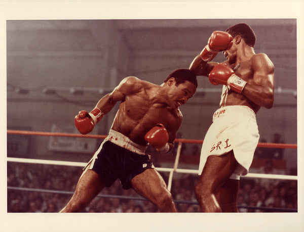 LEONARD, SUGAR RAY-WILFRED BENITEZ ORIGINAL PHOTO (1979-ACTION)