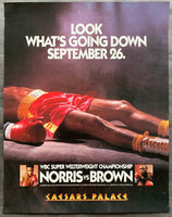 BROWN, SIMON-TERRY NORRIS ON SITE POSTER (1993)