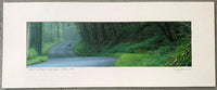 CINTRON, KERMIT ORIGINAL PHOTOGRAPH BY JEFF JULIAN (2004-AT DEER LAKE)