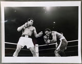 ALI, MUHAMMAD-JOE FRAZIER III ORIGINAL PHOTOGRAPH (1975)