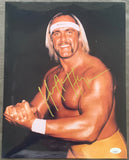 HOGAN, HULK SIGNED LARGE FORMAT PHOTO (JSA)