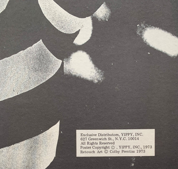 Ricky Spiro NIXON, RICHARD & SPIRO AGNEW ORIGINAL POSTER (1973) – JO Sports Inc.