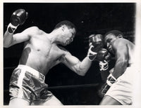 TIGER, DICK-JOSE TORRES I WIRE PHOTO (1966)