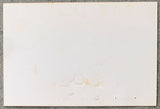 TYSON, MIKE-TREVOR BERBICK PRESS TECH PASS (1986-PSA/DNA VG 3)