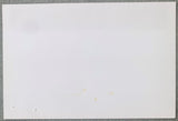 TYSON, MIKE-TONY TUCKER ORIGINAL RINGSIDE CREDENTIAL (1987)