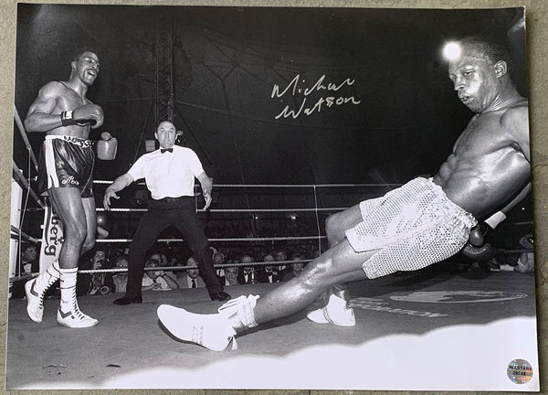 WATSON, MICHAEL SIGNED LARGE FORMAT PHOTOGRAPH