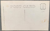 WILLARD, JESS REAL PHOTO POSTCARD (1915-AFTER DEFEATING JACK JOHNSON)